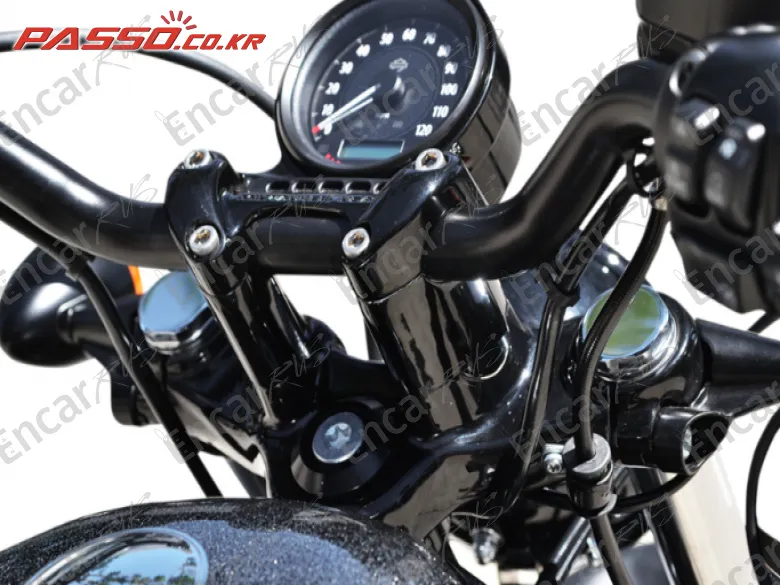 Harley-Davidson Xl 1200 X Forty Eight 48 - фото 3
