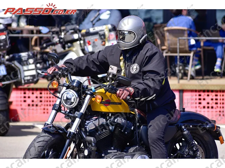 Harley-Davidson Xl 1200 X Forty Eight 48 - фото 5