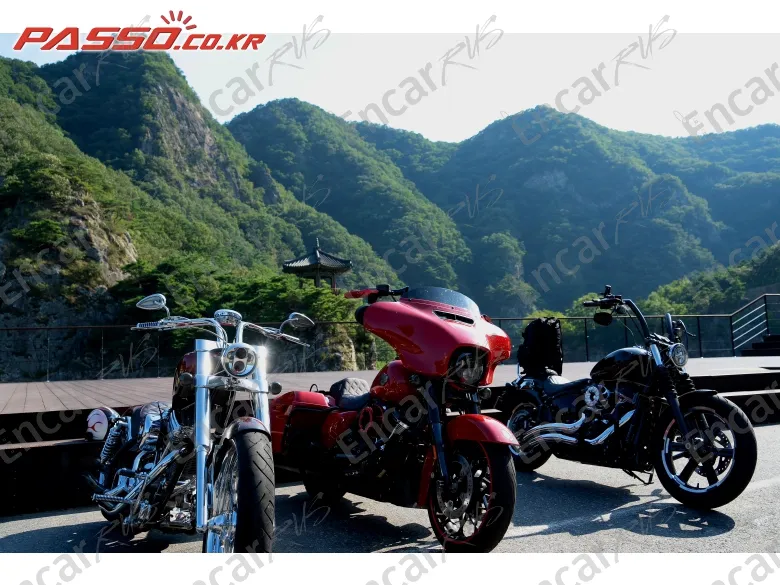 Harley-Davidson Flhxs Street Glide Special - фото 3