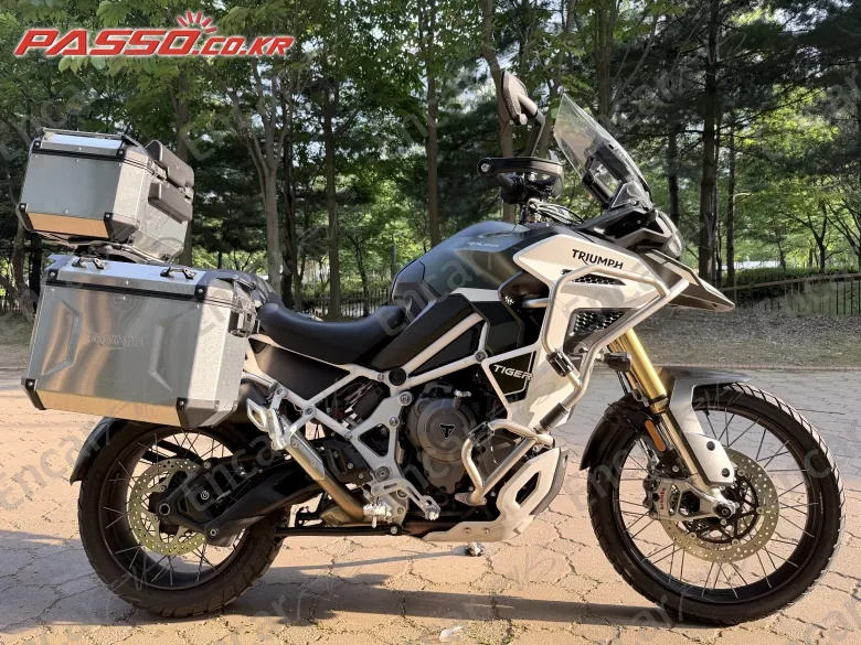 TRIUMPH TIGER 1200 EXPLORER RALLY - фото 0