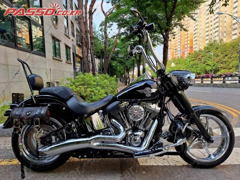 Harley-Davidson Flstf - фото 0