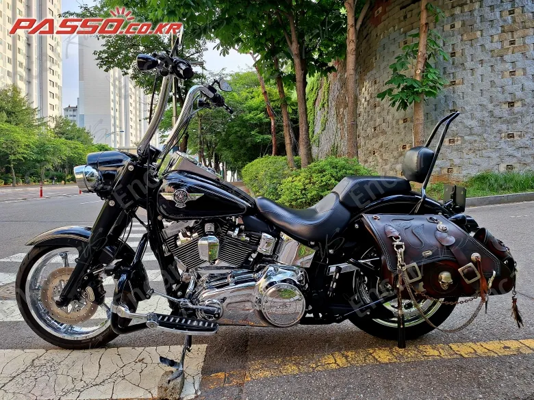 Harley-Davidson Flstf - фото 1