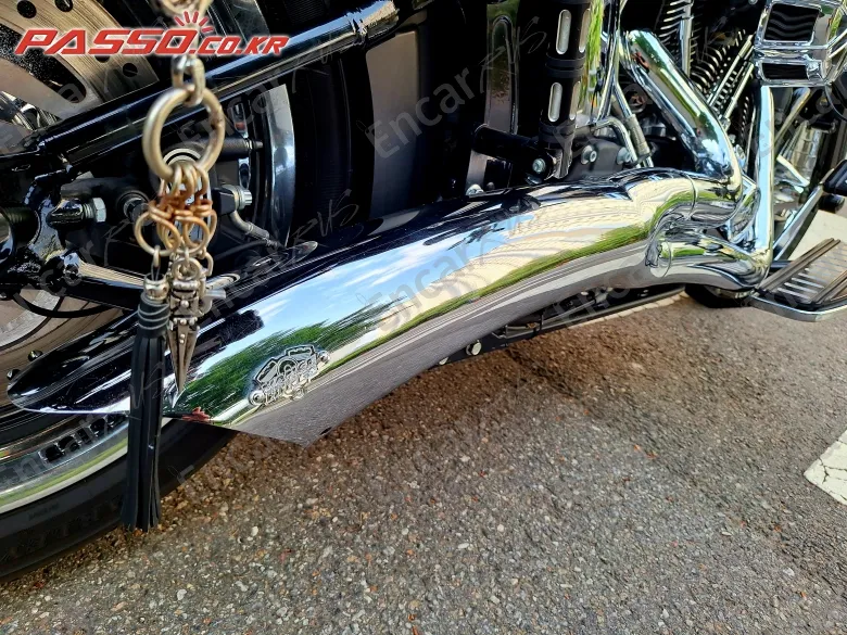 Harley-Davidson Flstf - фото 6