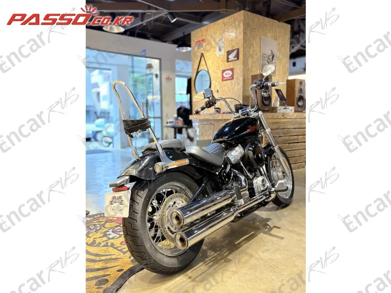 HARLEY-DAVIDSON SOFTAIL STANDARD - фото 2