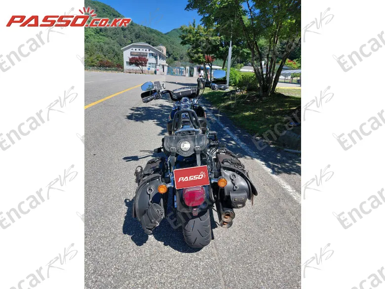 HARLEY-DAVIDSON SOFTAIL LOW RIDER - фото 2
