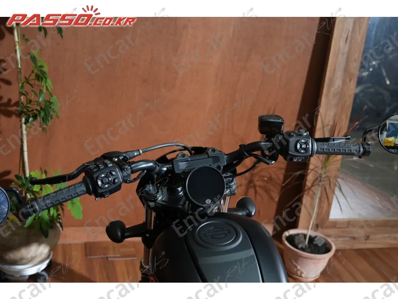 Harley-Davidson Nightster Special 975 - фото 3