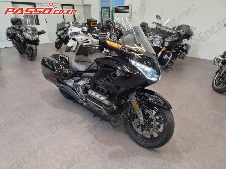 Honda Goldwing Mt - фото 2