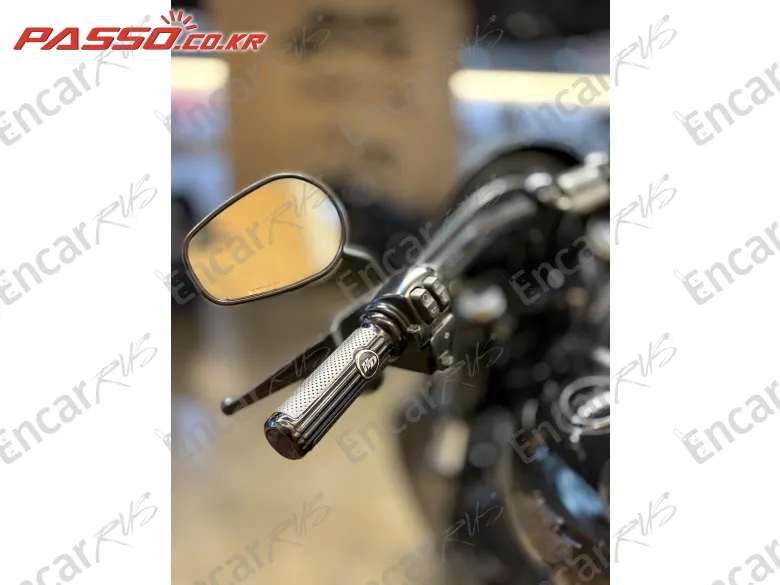 Harley-Davidson Fxdls - фото 3