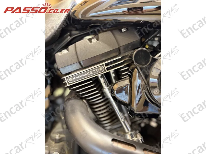 Harley-Davidson Fxdls - фото 4