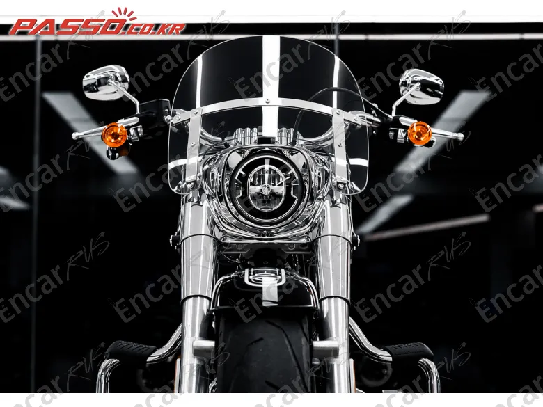 Harley-Davidson Fat Boy 114 - фото 4
