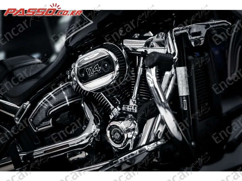 Harley-Davidson Fat Boy 114 - фото 5