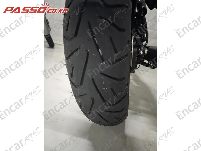 Indian Sport Scout - фото 5
