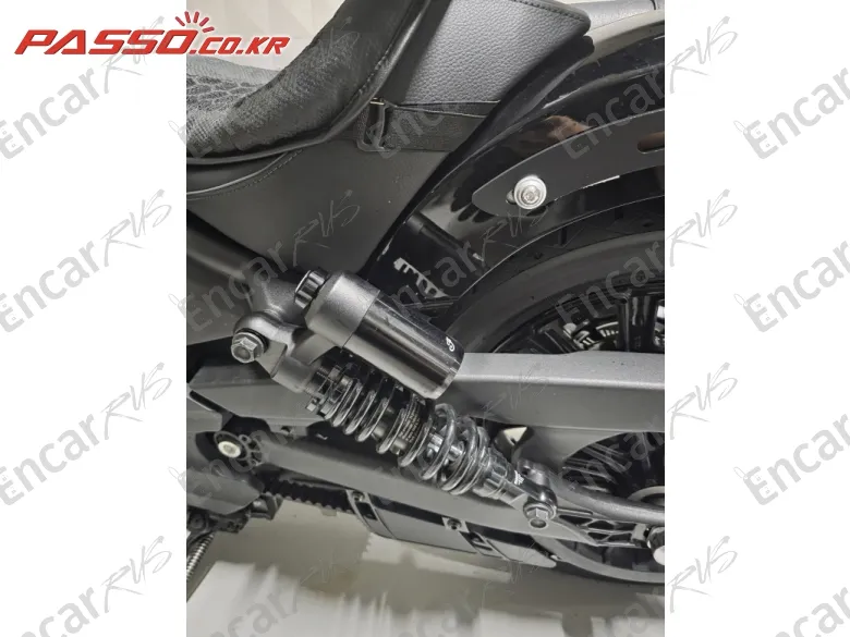 Indian Sport Scout - фото 6