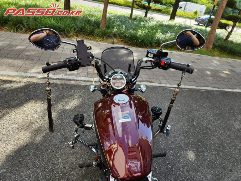 Indian Scout Abs - фото 3