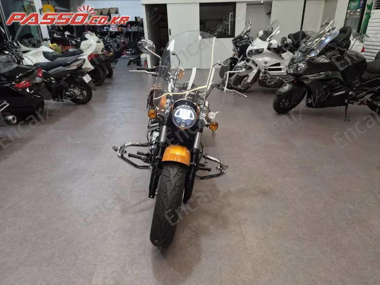 Indian Scout Abs - фото 3