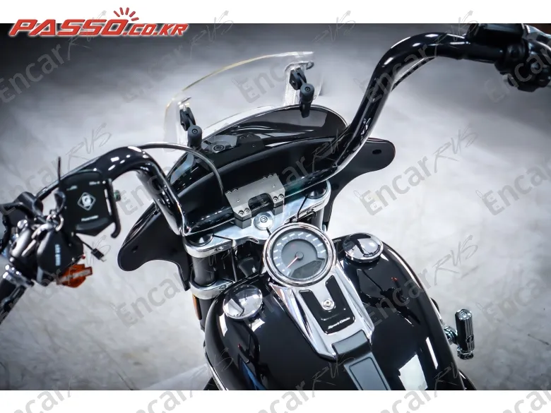 Harley-Davidson Sport Glide - фото 3