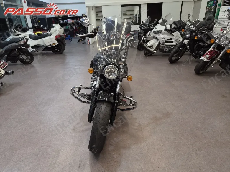 Indian Scout Abs - фото 3