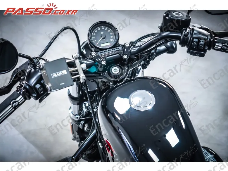 Harley-Davidson Xl 1200 X Forty Eight 48 - фото 3