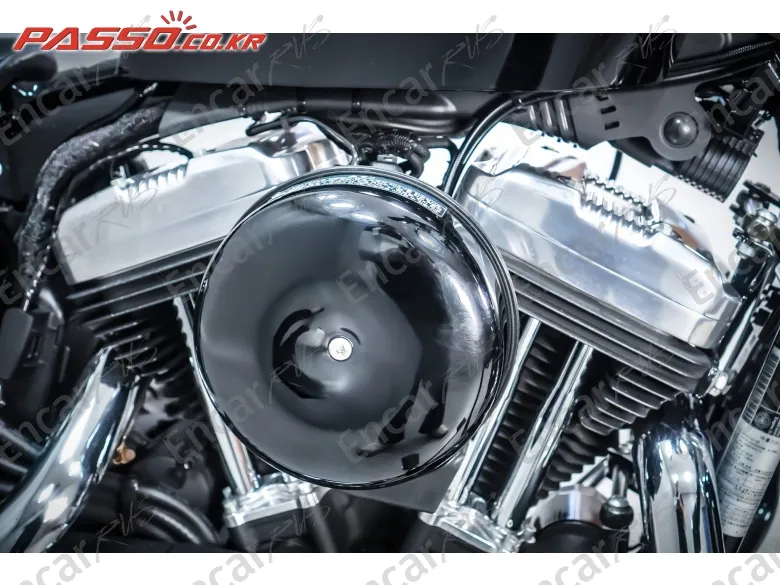 Harley-Davidson Xl 1200 X Forty Eight 48 - фото 4
