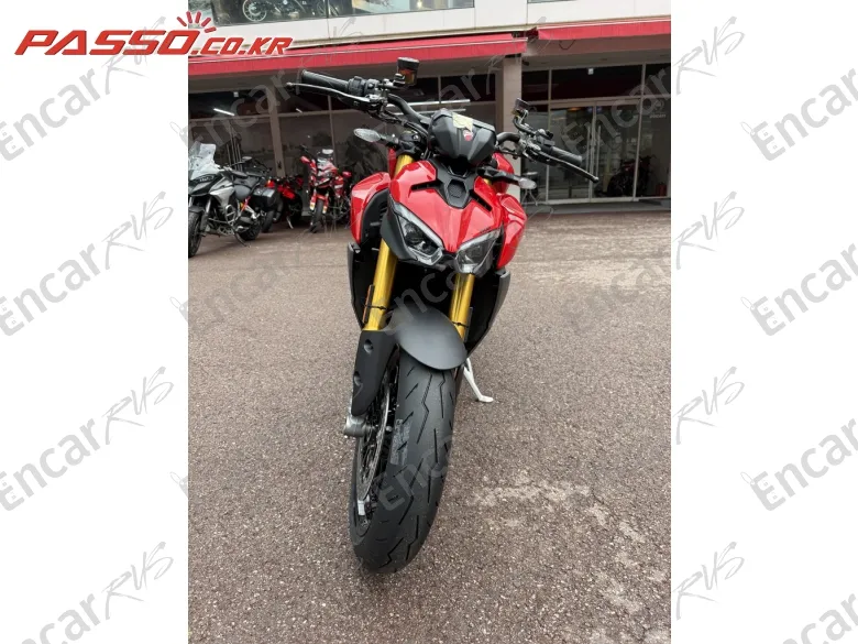 Ducati Treetfighter V2 S - фото 5