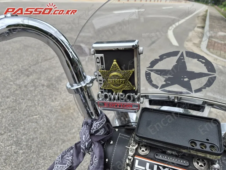 Harley-Davidson Flhr - фото 3