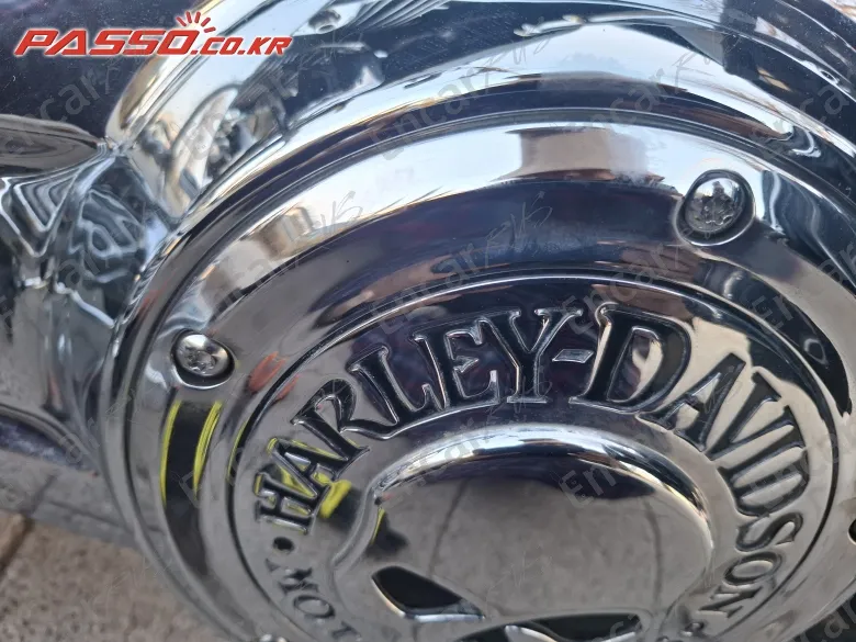 Harley-Davidson Flhr - фото 5