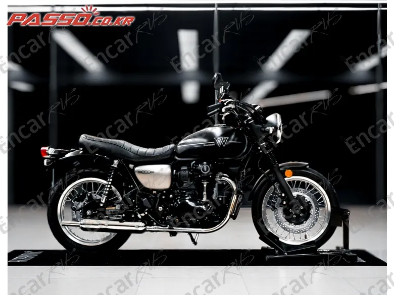 Kawasaki W 800 - фото 0