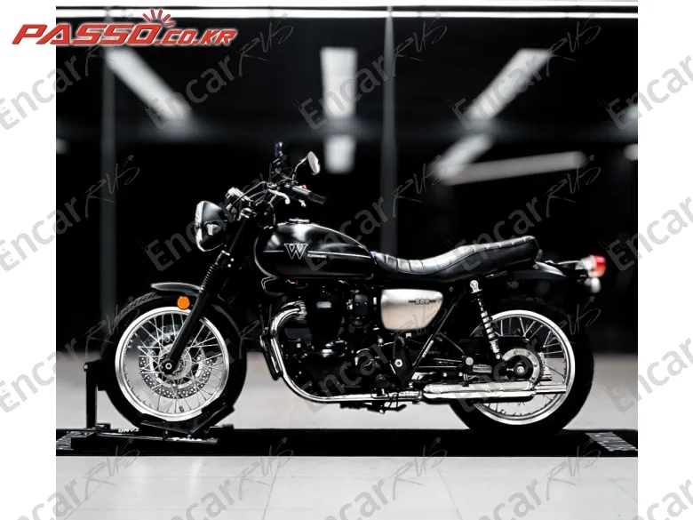 Kawasaki W 800 - фото 2