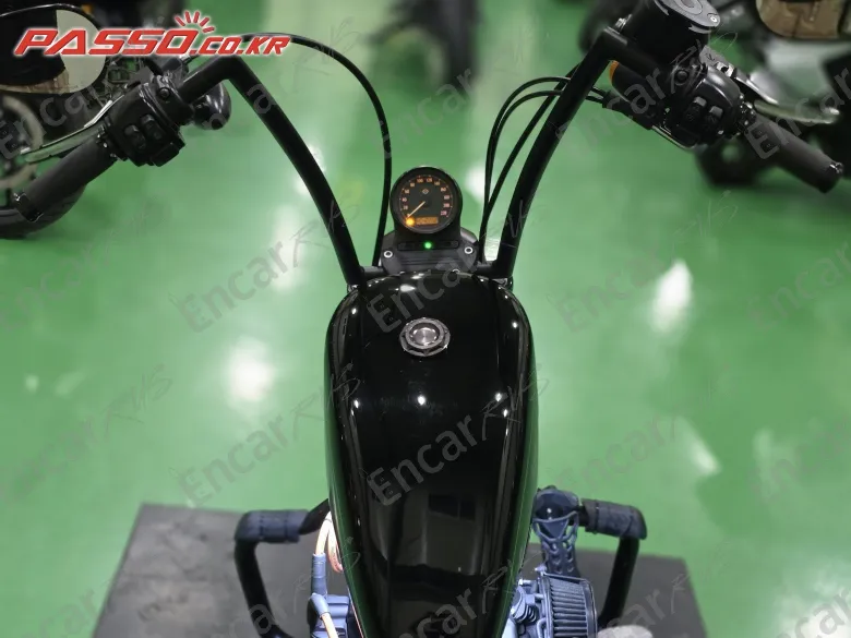 Harley-Davidson Xl 883 N - фото 3