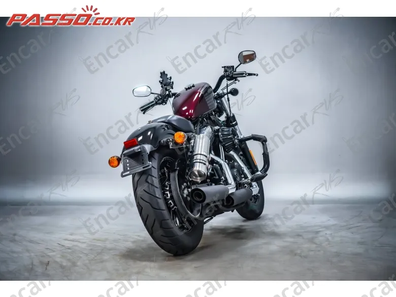 Harley-Davidson Xl 1200 X Forty Eight 48 - фото 2