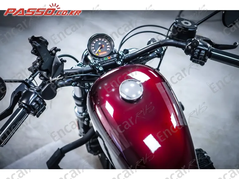 Harley-Davidson Xl 1200 X Forty Eight 48 - фото 3