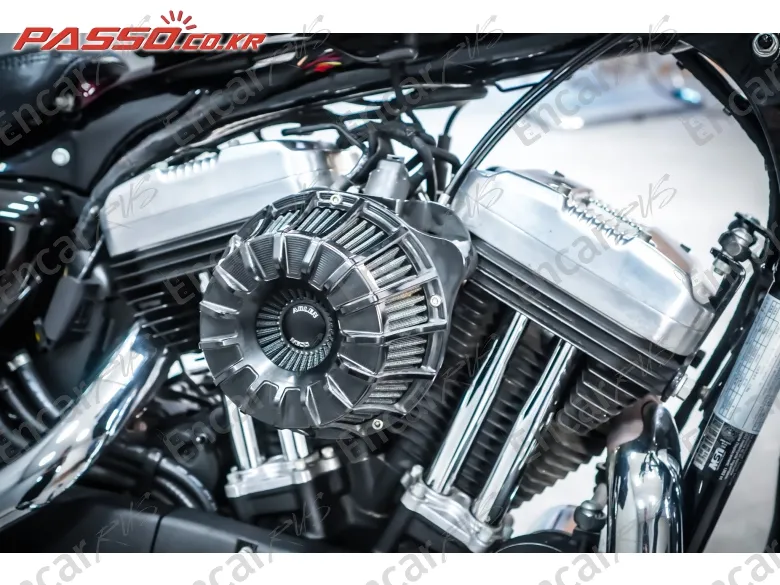 Harley-Davidson Xl 1200 X Forty Eight 48 - фото 4