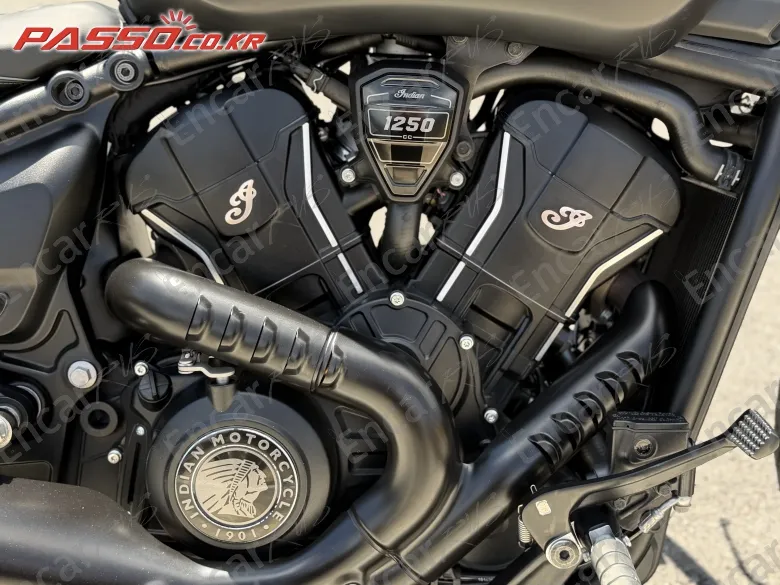 Indian Sport Scout - фото 4
