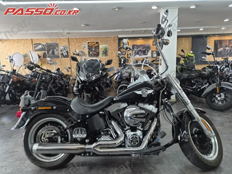 Harley-Davidson Flstfb 2016, фото 1