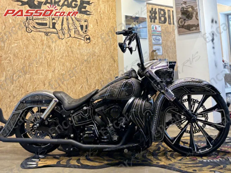 Harley-Davidson Flstfb 2016, фото 1