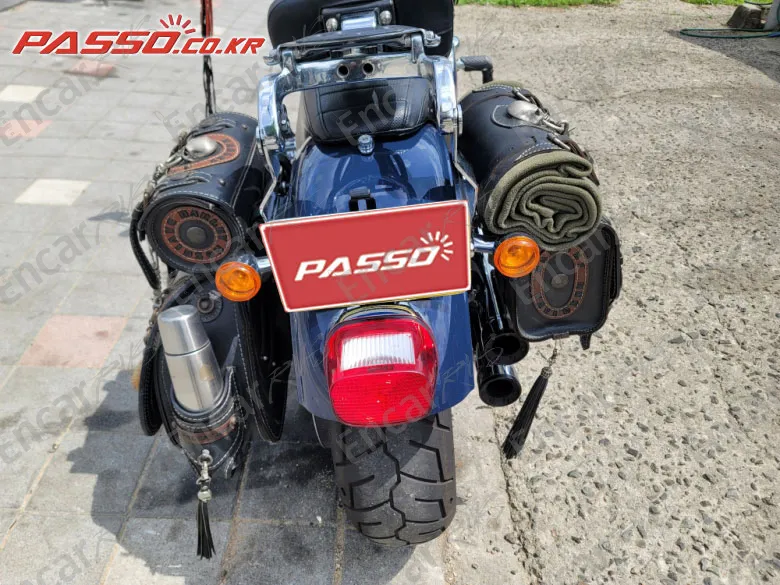HARLEY-DAVIDSON FXDL - фото 2