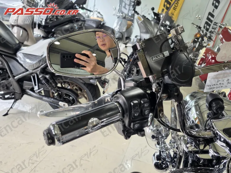 Harley-Davidson Flhr - фото 5