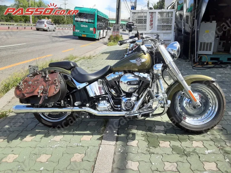 Harley-Davidson Flstf 2017, фото 1