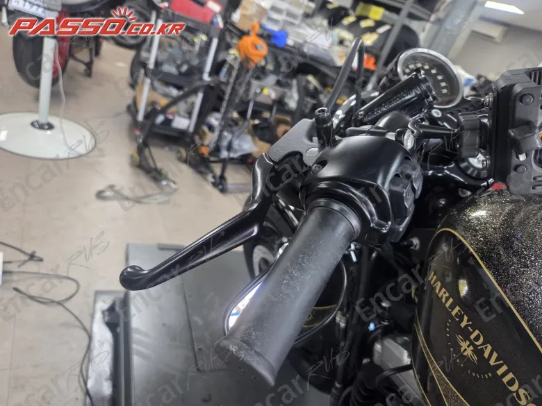 Harley-Davidson Xl 1200 X Forty Eight 48 - фото 4