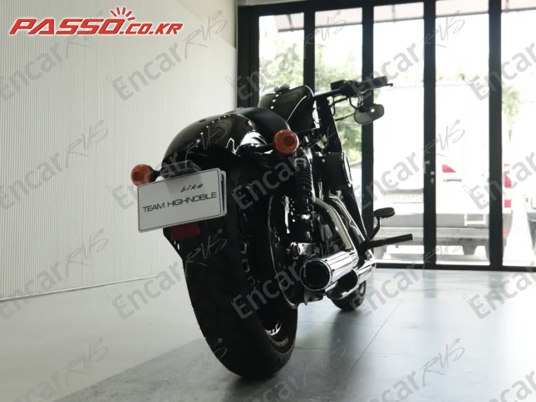 Harley-Davidson Xl 1200 X Forty Eight 48 - фото 2