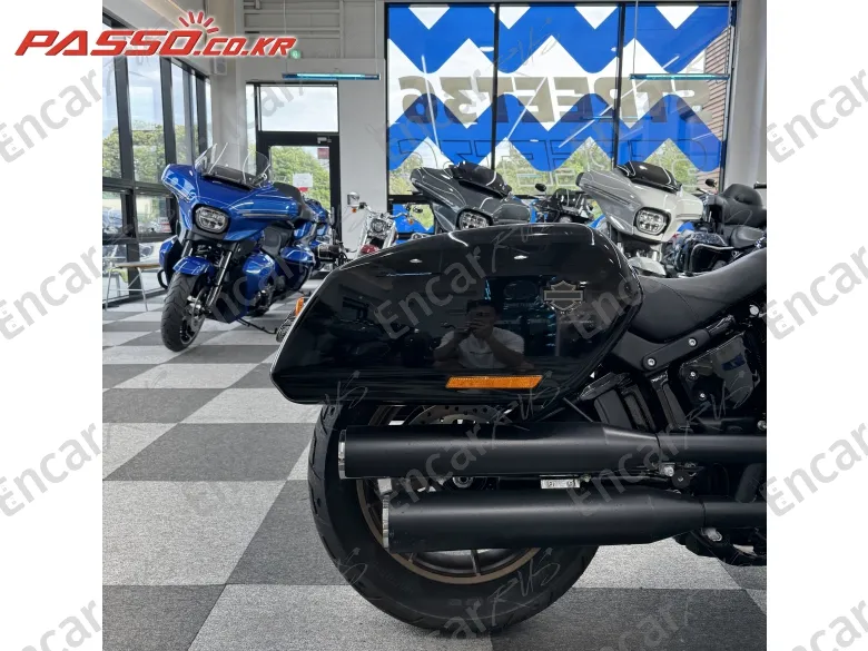 Harley-Davidson Low Rider St - фото 5