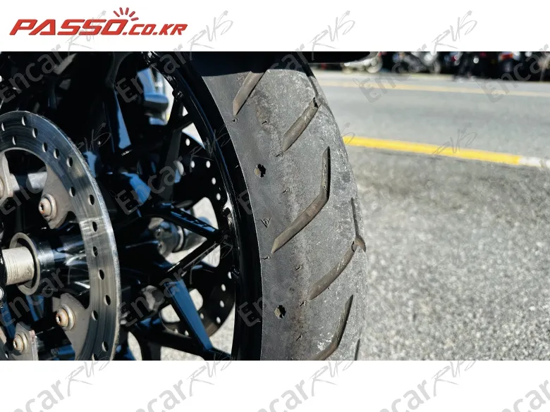 HARLEY-DAVIDSON FLHR - фото 5