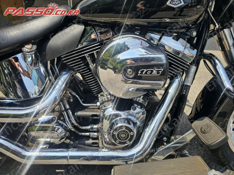 HARLEY-DAVIDSON FLSTF - фото 4