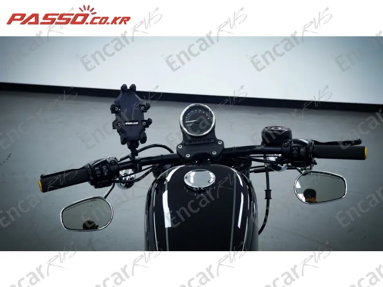 Harley-Davidson Xl 1200 R - фото 3