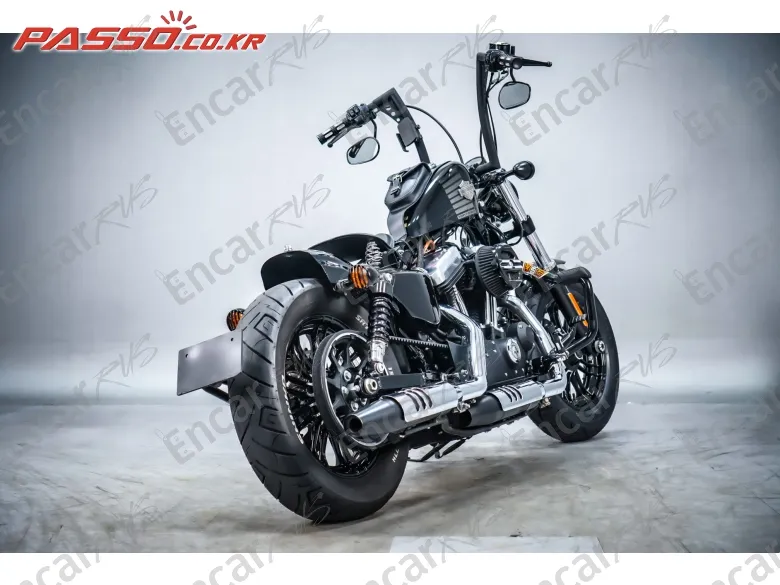 Harley-Davidson Xl 1200 X Forty Eight 48 - фото 2