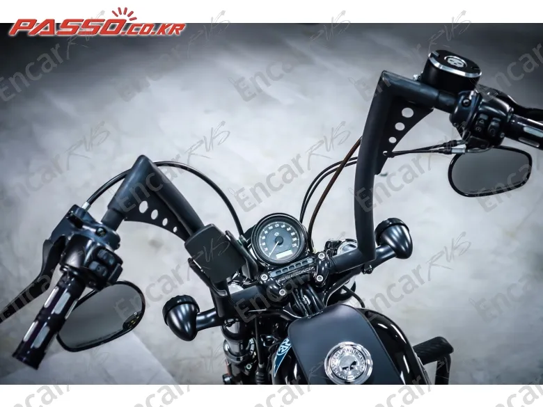Harley-Davidson Xl 1200 X Forty Eight 48 - фото 3