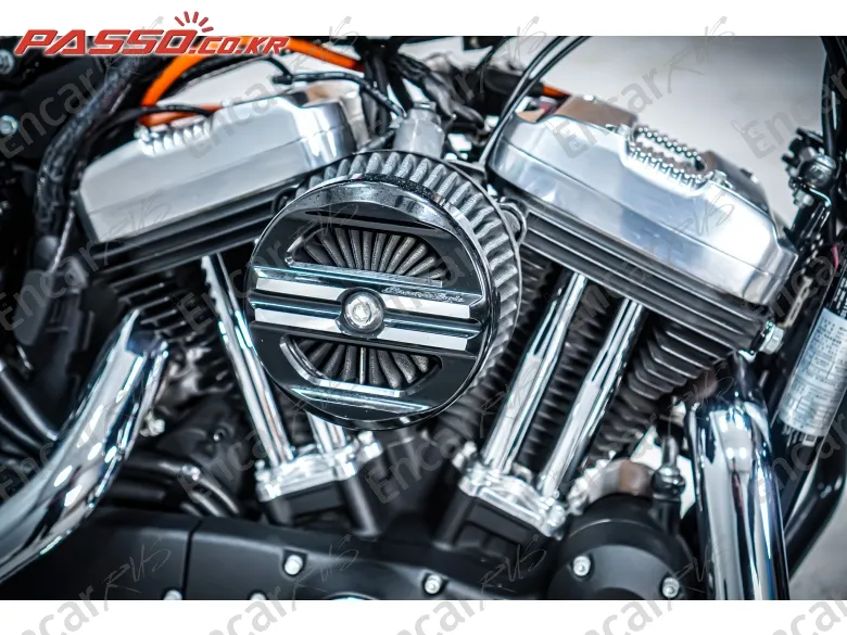 Harley-Davidson Xl 1200 X Forty Eight 48 - фото 4