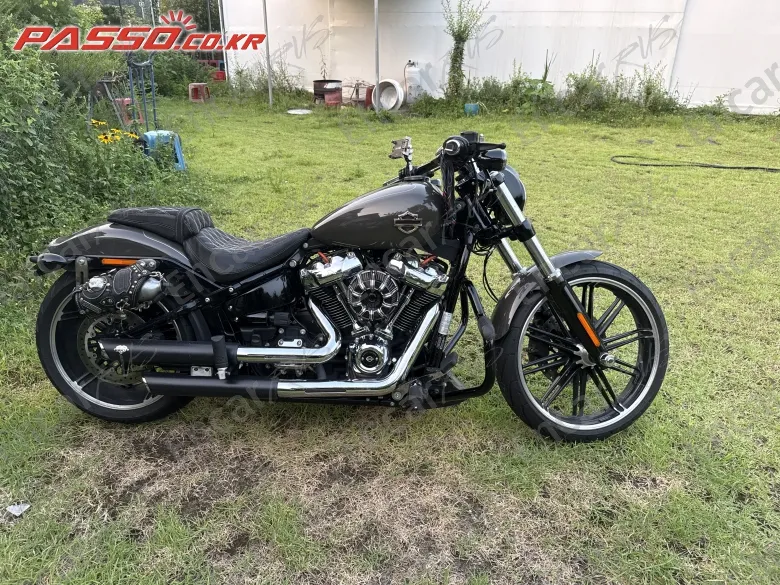 Harley-Davidson Breakout 114 2019, фото 1
