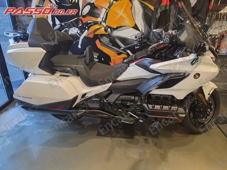 Honda Goldwing Tour DCT Airbag 2024, фото 1