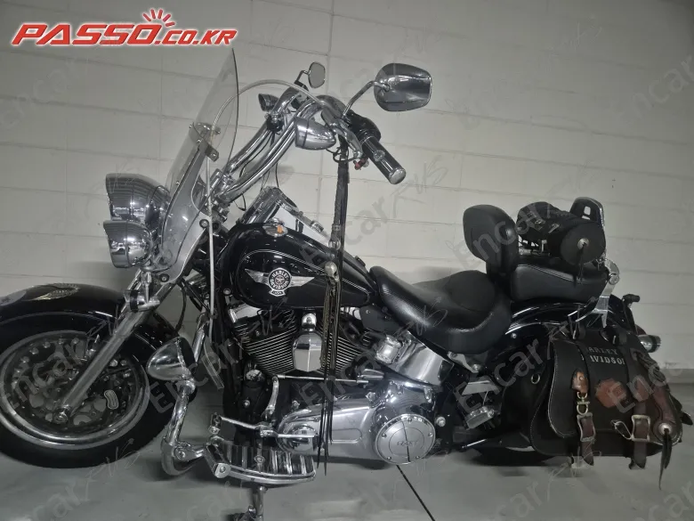 Harley-Davidson Flstf 2016, фото 1